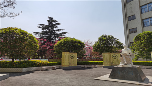 校園環(huán)境1