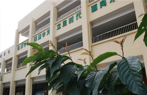 微信圖片_20200326092842 微信圖片_20200326092842