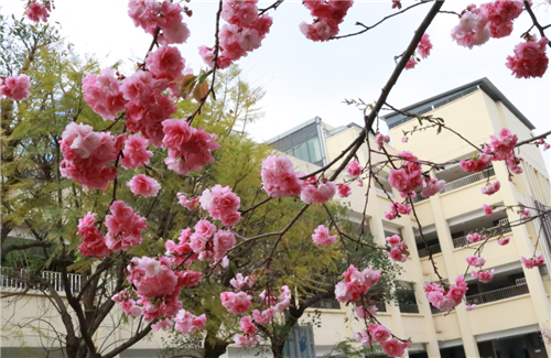 微信圖片_20200326092817 微信圖片_20200326092817