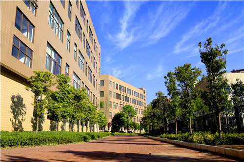 校園風(fēng)光旖旎 校園風(fēng)光旖旎