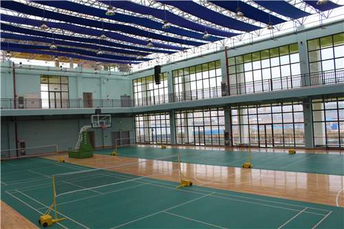 室內(nèi)體育館_副本