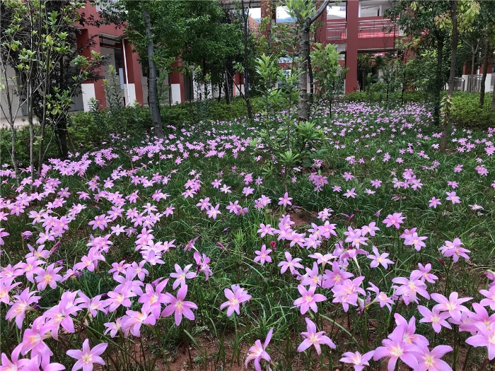 397e625b572b890b7bdfcb9e87e15a8 397e625b572b890b7bdfcb9e87e15a8