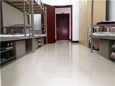 0d3852fd6146a44fac96873a89e1132