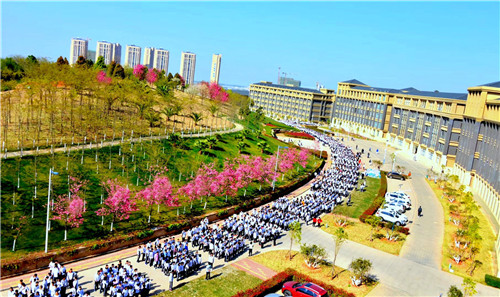 高30cmxx長45cm (3) 高30cmxx長45cm (3)