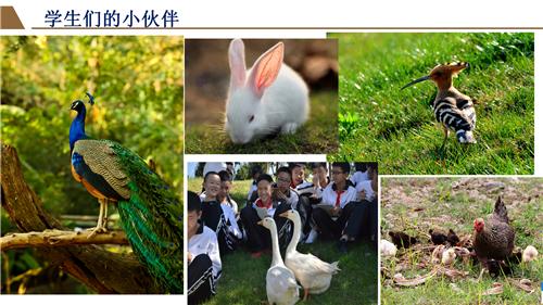 PowerPoint 幻燈片放映 - [云大附中呈貢校區(qū)簡介（2019年7月8日新增內(nèi)容修改版）] 2019830 144909