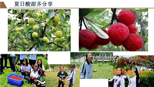 PowerPoint 幻燈片放映 - [云大附中呈貢校區(qū)簡介（2019小升初招生宣傳修訂版） - 副本] 201972 112514