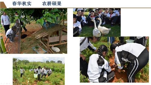 PowerPoint 幻燈片放映 - [云大附中呈貢校區(qū)簡介（2019小升初招生宣傳修訂版） - 副本] 201972 112520