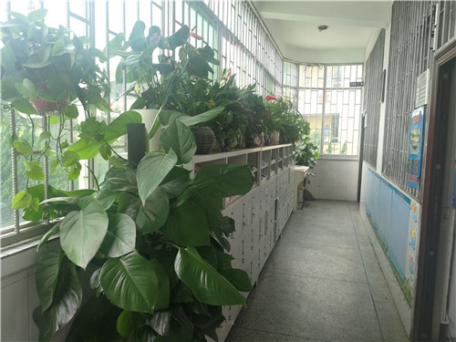 學(xué)生美化教室走廊 學(xué)生美化教室走廊