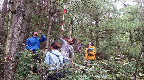 森林資源二類調(diào)查_副本 森林資源二類調(diào)查_副本