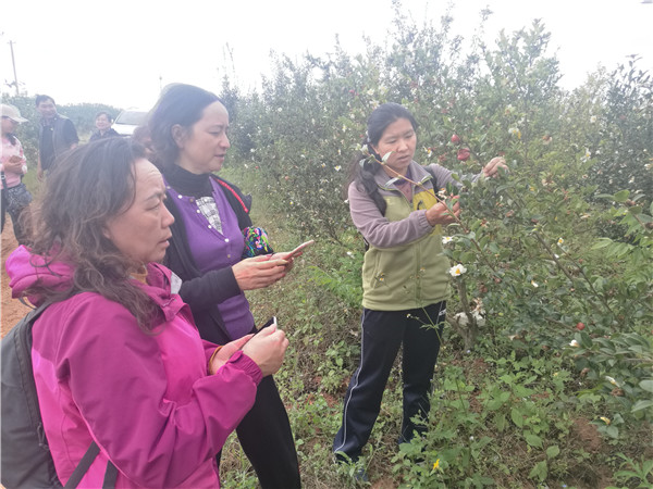 油茶提質(zhì)增效示范林建設(shè)野外調(diào)查_副本 油茶提質(zhì)增效示范林建設(shè)野外調(diào)查_副本