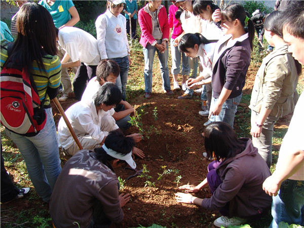 栽培課程_副本 栽培課程_副本