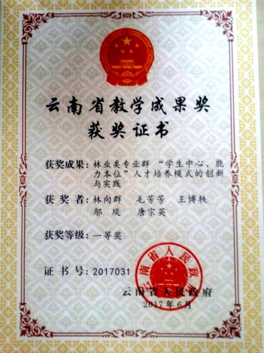 省級(jí)教學(xué)成果一等獎(jiǎng)證書(shū)_副本