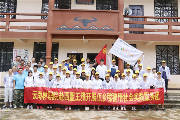 “三下鄉(xiāng)”社會實踐