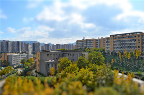 秋天的校園_副本 秋天的校園_副本