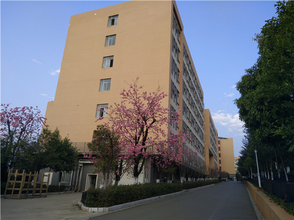 男生宿舍春華苑 男生宿舍春華苑