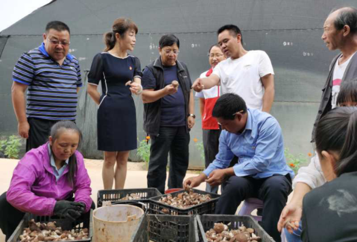 QQ截圖20201112112845