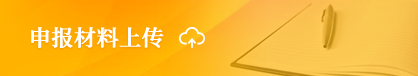 申報(bào)資料上傳