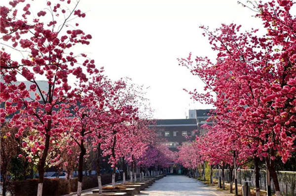 ab1bbb9736f4620b3c9569b663246b3 ab1bbb9736f4620b3c9569b663246b3