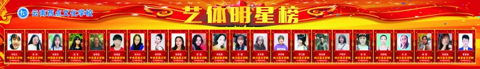 藝體生高考明星榜