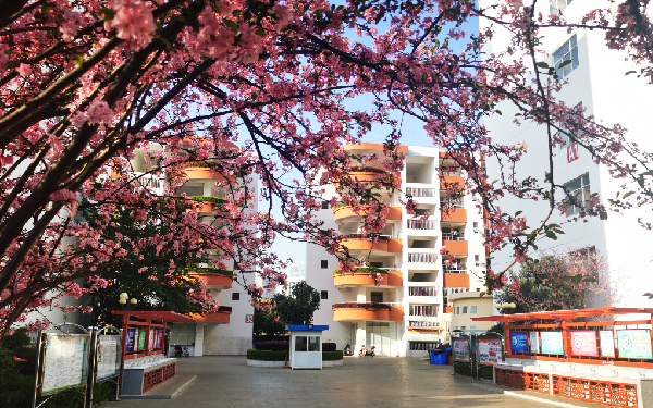 學(xué)校宿舍區(qū) 學(xué)校宿舍區(qū)