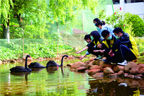 校園環(huán)境 校園環(huán)境