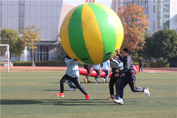 趣味運動會 趣味運動會