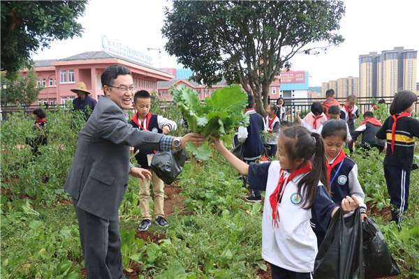 農(nóng)作物采摘