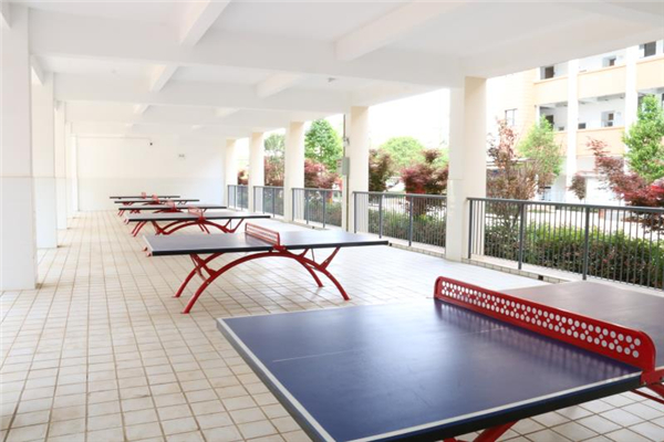 乒乓球場 乒乓球場