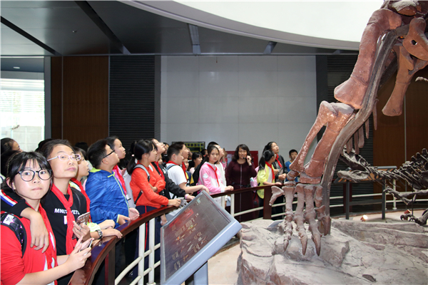 學(xué)生到動(dòng)物博物館參觀 (2)