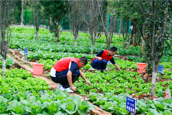 _MG_0658-15 _MG_0658-15