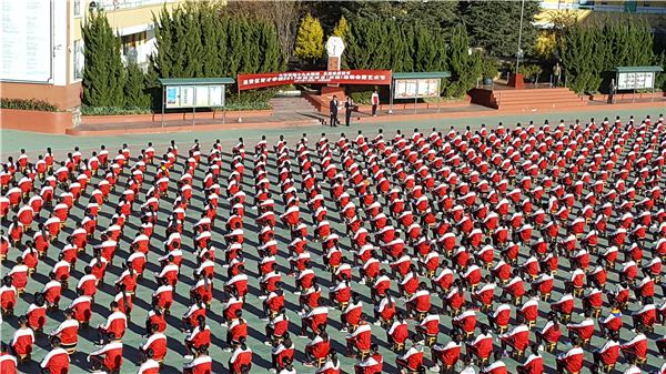 振奮人心的精神鳳貌