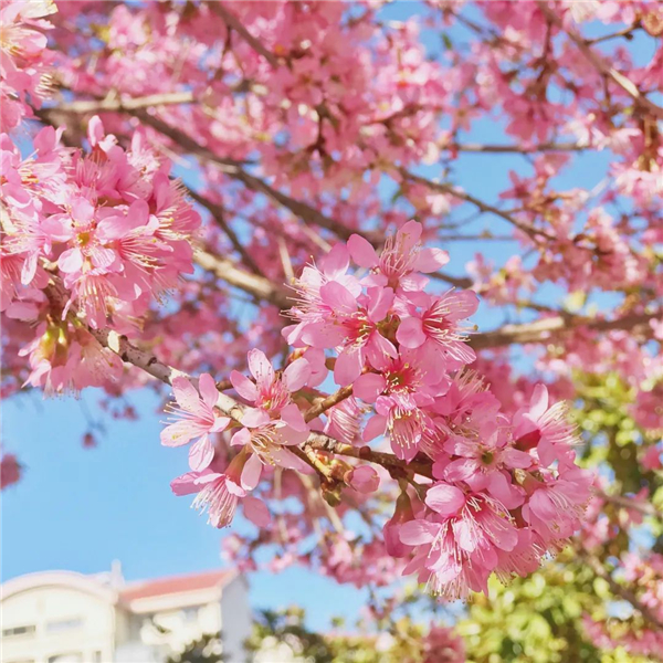 微信圖片_20210402111838