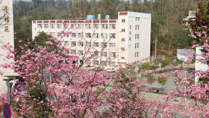 宿舍 丹桂苑 青岡苑_副本