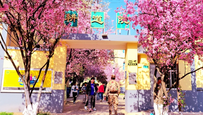 DSC_7040_副本_副本 DSC_7040_副本_副本