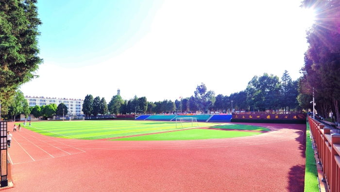 DSC_2551_副本_副本 DSC_2551_副本_副本