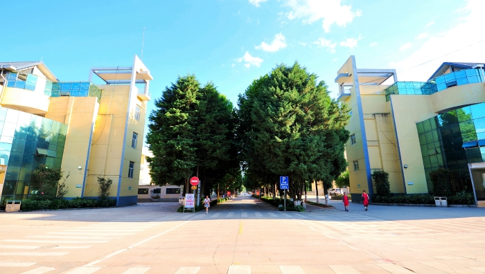 DSC_2686_副本_副本 DSC_2686_副本_副本