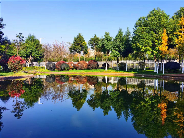 校園景色1 校園景色1