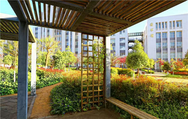 校園景色3 校園景色3