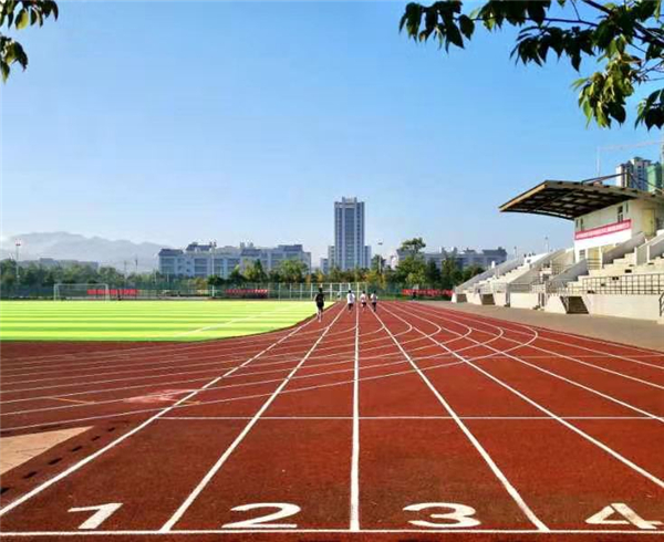 運(yùn)動(dòng)場(chǎng)1 運(yùn)動(dòng)場(chǎng)1
