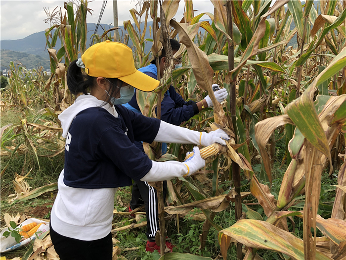 勞動教育2 勞動教育2