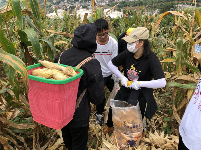 勞動教育3 勞動教育3