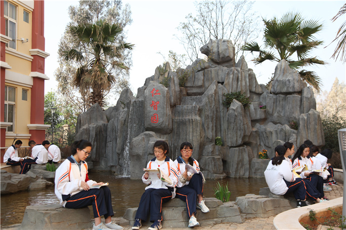 仁智園里搞學(xué)習(xí)