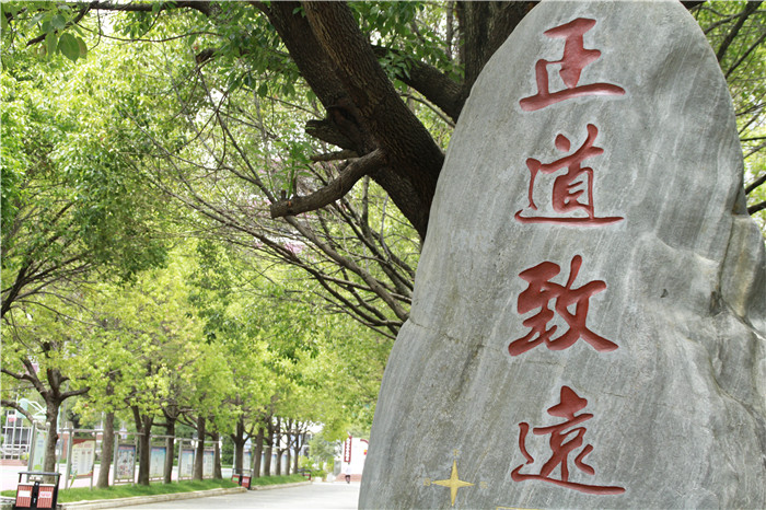 環(huán)城南路校區(qū)文化石