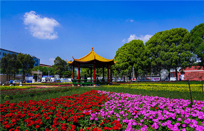 e20436c6c8e5b62f88104b4b83df57f