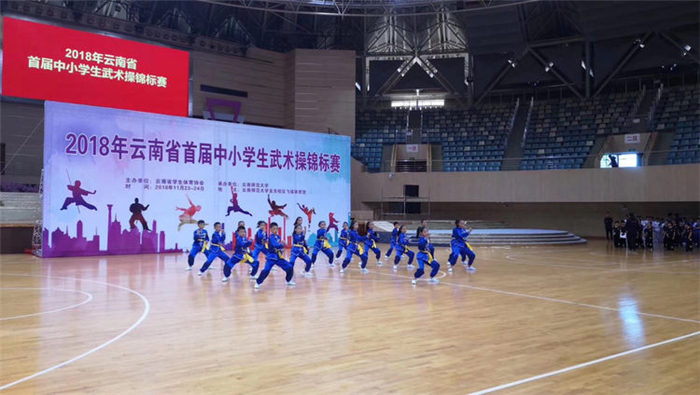 武術(shù)比賽 武術(shù)比賽