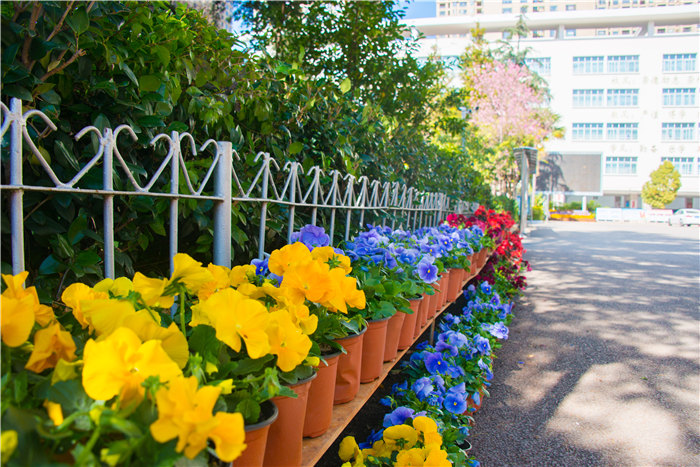 20201215-_DSC8920 20201215-_DSC8920