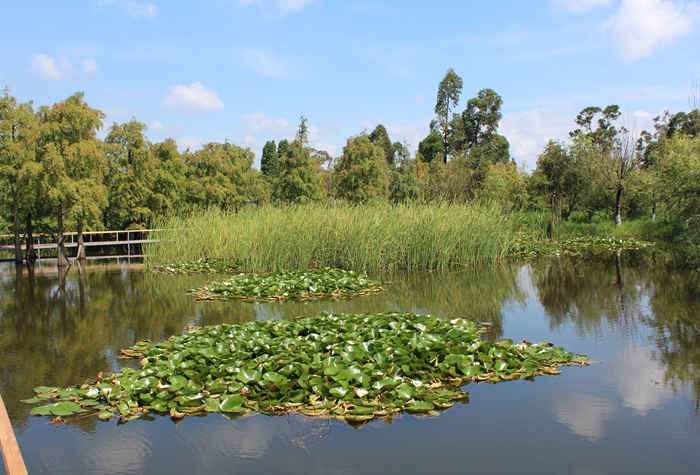 d22f2f9f0a75f54733d233ebd3d8bcd d22f2f9f0a75f54733d233ebd3d8bcd