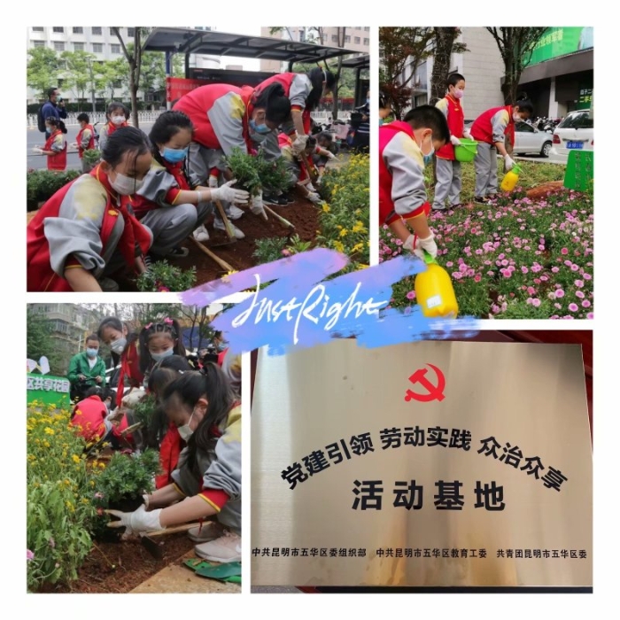 勞動(dòng)實(shí)踐—我是聶耳小花匠