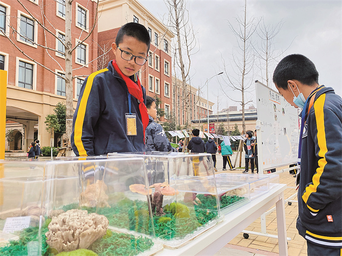 人文科技月“菌子”作品展