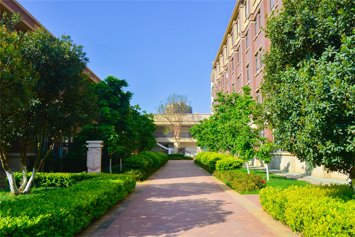 20210402-_DSC6474 20210402-_DSC6474